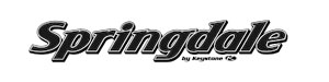 Springdale by Keystone RV